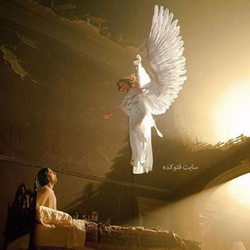 فرشته شاهد ما
