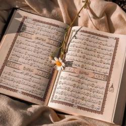 تبعیت از قرآن