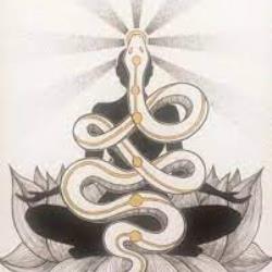 پینه آل و کُندالینی