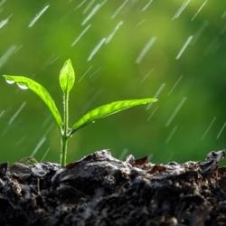 مبارک یعنی پربرکت